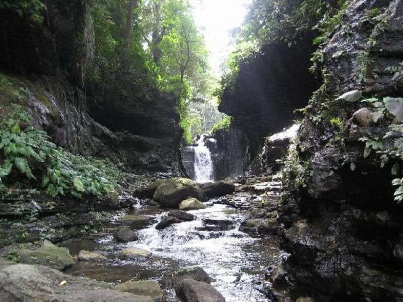 From Manila: Day Tour to Enchanting Hidden Valley - Final Thoughts: Is It Worth It?