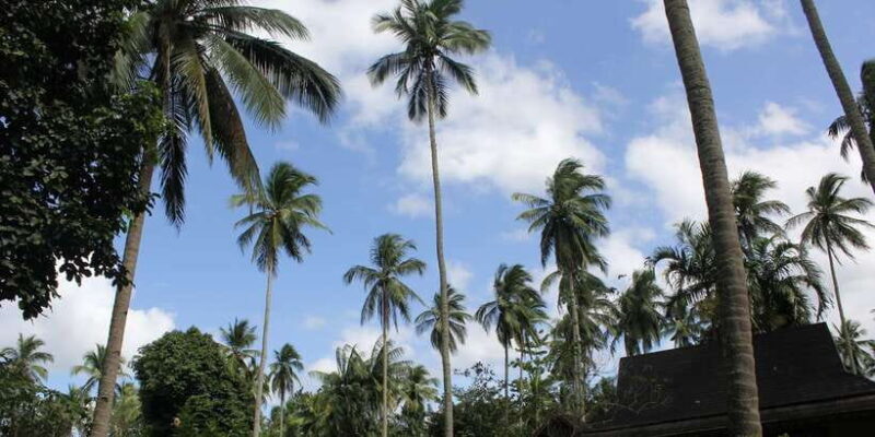 From Manila: Day Tour to Enchanting Hidden Valley - FAQ