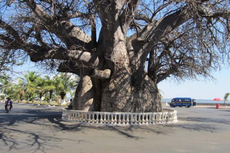From Maputo: Swaziland Cultural Day Trip - Who Is This Tour Best For?