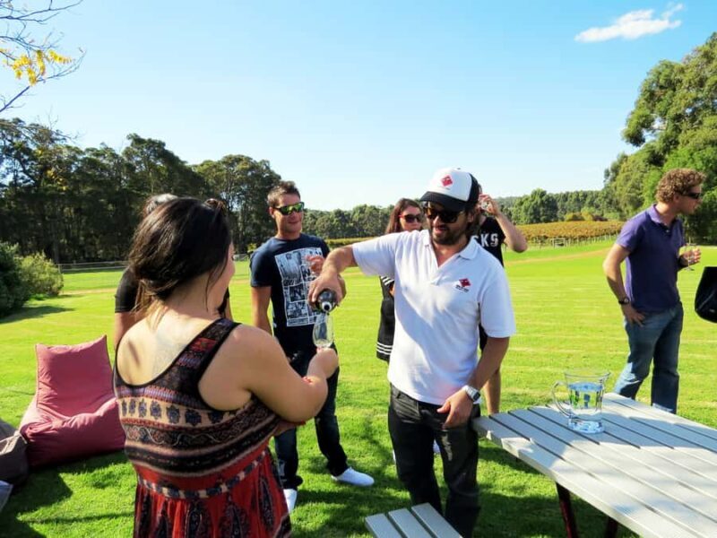 From Margaret River: Margaret River Wine Adventure - The Sum Up: Who Should Book This Tour?