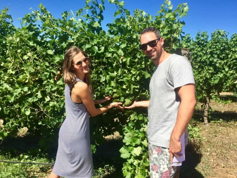 From Margaret River: Margaret River Wine Adventure - FAQs