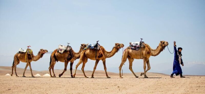 From Marrakech: 1-Hour Sunset Camel Ride in Agafay Desert - Key Points