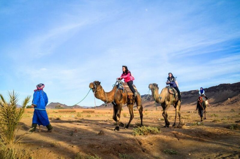 From Marrakech: 2-Day Desert Excursion - An Overview of the Marrakech 2-Day Desert Tour