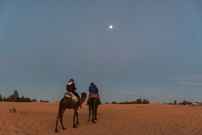 From Marrakech: 2-Day Sahara Tour to Zagora & Ait Ben Haddou - Key Points