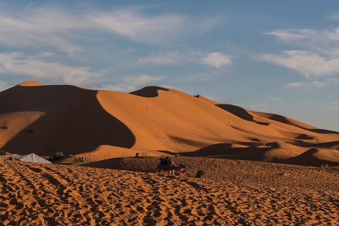 From Marrakech: 2-Day Sahara Tour to Zagora & Ait Ben Haddou - What Makes This Tour Stand Out