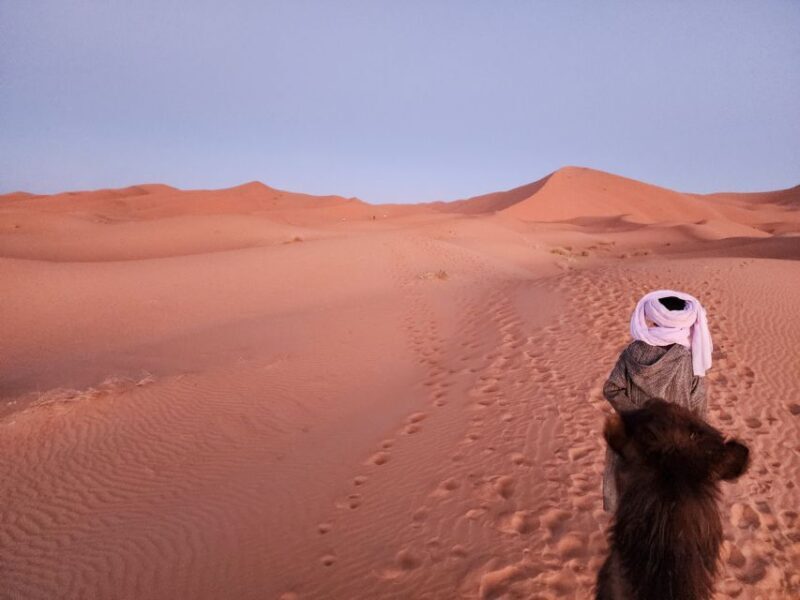 From Marrakech: 2-Day Trip to Ouarzazate & Merzouga w/ Meals - Final Thoughts