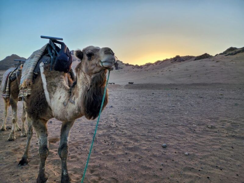 From Marrakech: 2-Days luxurious experience to Zagora Desert - Practical Considerations
