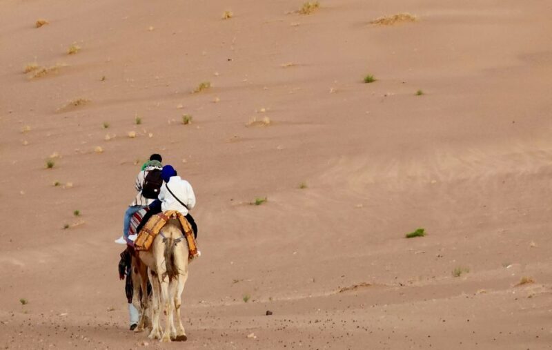 From Marrakech: 2-Days luxurious experience to Zagora Desert - Comparing This Tour to Similar Options