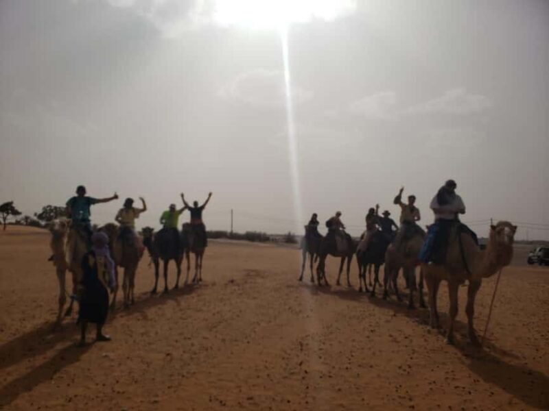 From Marrakech 2 Days sahara Tour To Zagora Desert & Kasbahs - Key Points