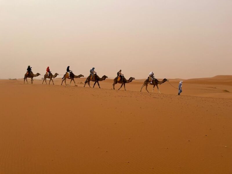 From Marrakech: 3-Day Desert Tour to Agadir - Key Points