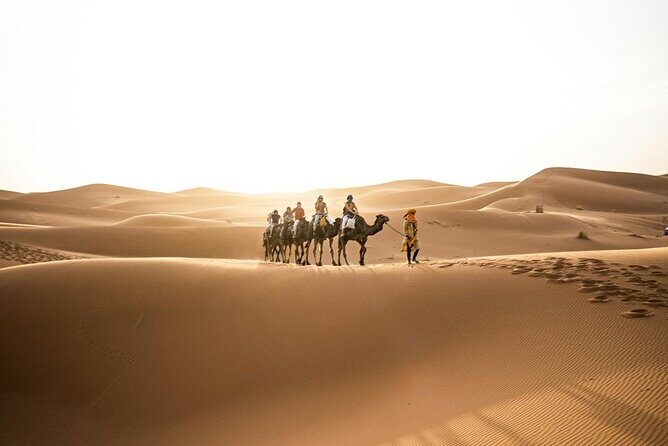 From Marrakech 3-Day Desert Tour to Agadir - The Sum Up