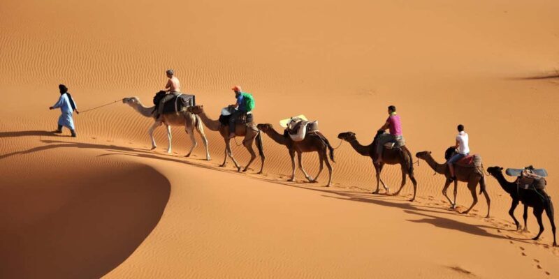From Marrakech: 3-Day Merzouga and Sahara Desert Camel Trip - An Honest Look at the Tour Itinerary
