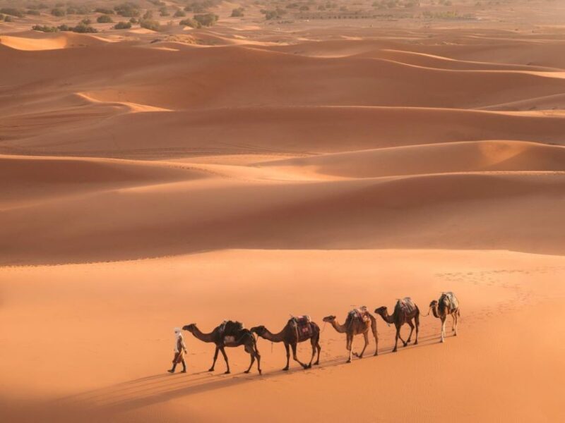 From Marrakech: 3-Day Merzouga and Sahara Desert Tour - An Overview of the 3-Day Marrakech to Merzouga Sahara Tour