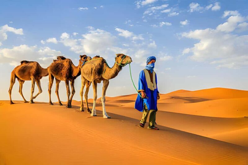 From Marrakech: 3-Day Merzouga and Sahara Desert Tour - Who This Tour Is Best For