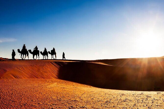 From Marrakech: 3 Day Merzouga Desert Morocco Sahara Tour - Final Thoughts: Who is This Tour Perfect For?