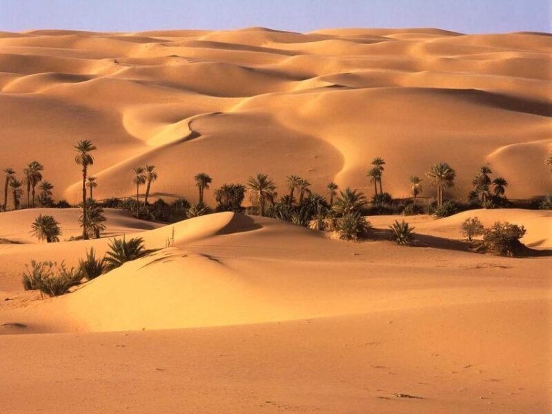 From Marrakech :3-Day Students Group Tour To Merzouga - What Makes This Tour Stand Out