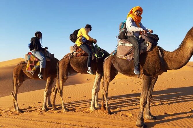 From Marrakech 3 Days Tour To Merzouga Sahara Desert - Who Is This Tour Best For?