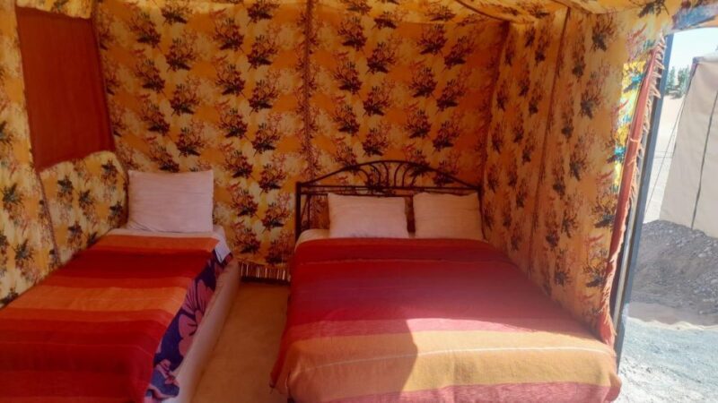 From Marrakech: 4-Day/3-Night Desert Adventure to Fes - What Travelers Say