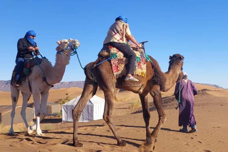 From Marrakech: 4-Day Private Merzouga Desert Tour to Agadir - Final Thoughts: Who Will Love This Tour?