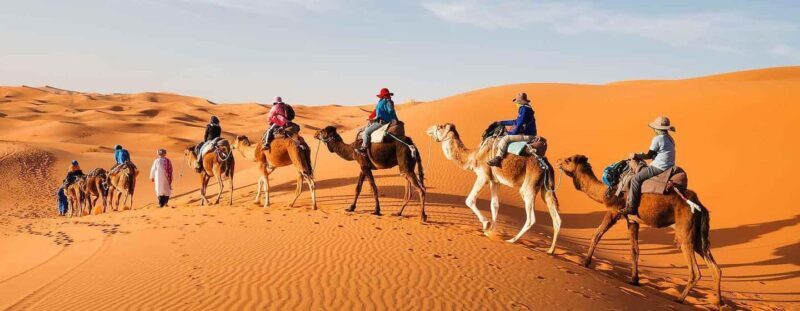 From Marrakech : 4 Days Private Desert To Zagora & Merzouga - Who Will Love This Tour?