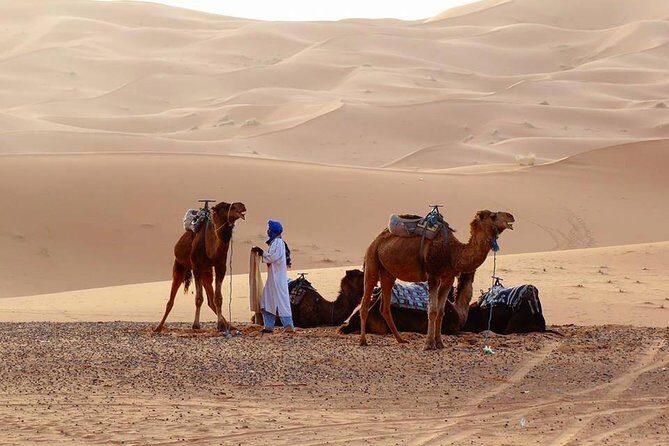 From Marrakech 4 Days Tour To Morocco Sahara Desert - Authentic Experiences and Traveler Insights