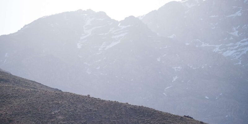 From Marrakech : A Day Trail Running In The Atlas Mountains - Who Will Love This Experience?