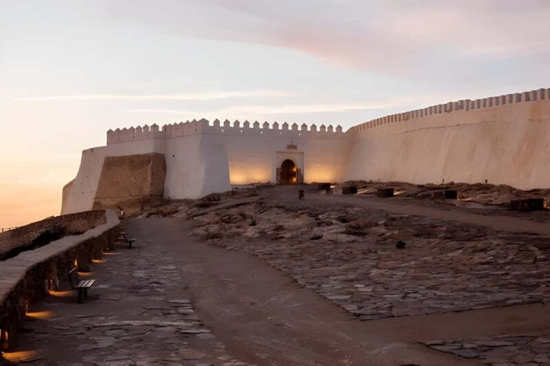 From Marrakech: Agadir Day Trip with Beach and Marina Visit - Key Points