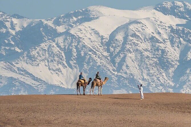 From Marrakech: Agafay Desert Camel Experience - An In-Depth Look at the Tour Experience