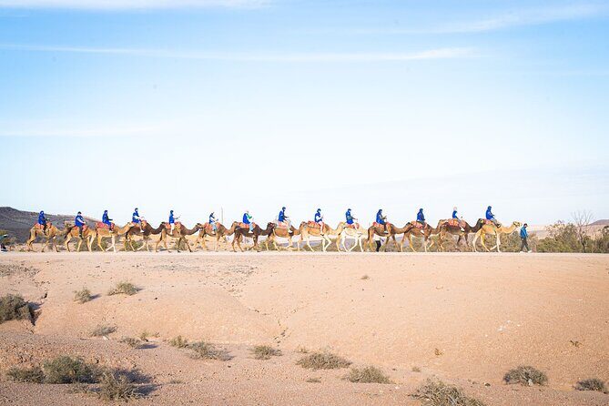From Marrakech: Agafay Desert Camel Ride experience Dinner show - FAQ