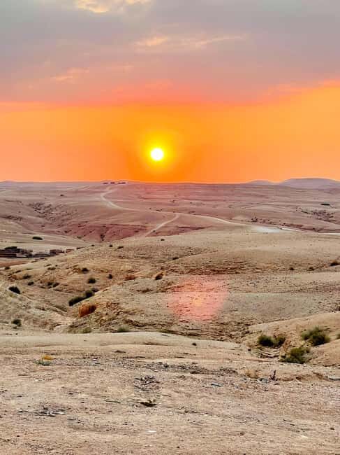 From Marrakech: Agafay Desert Day Trip with Lunch & Swimming - Who Is This Tour Best Suited For?