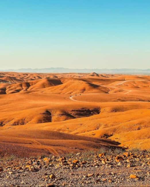 From Marrakech: Agafay Desert Day Trip with Lunch & Swimming - Frequently Asked Questions