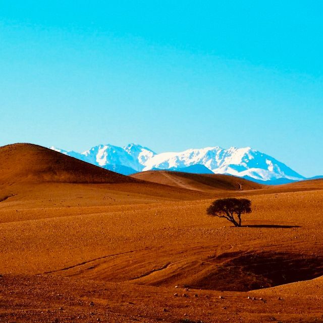 From Marrakech: Agafay Desert Dinner and Optional Camel Ride - Who Is This Tour Best For?
