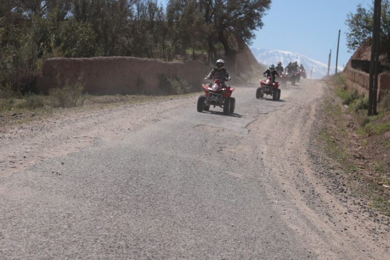 From Marrakech: Agafay Desert Quad Bike and Camel Ride Tour - Suitability and Accessibility