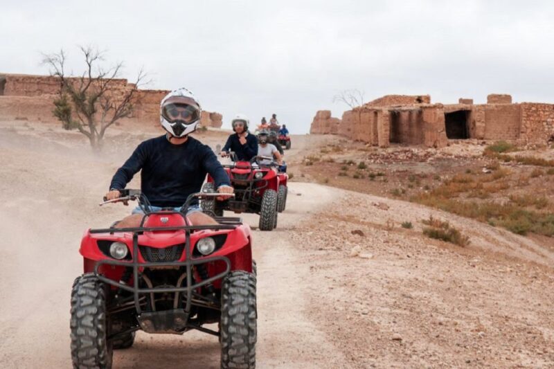 From Marrakech: Agafay Desert Quad Biking with Dinner & Show - Who Will Enjoy This Tour?