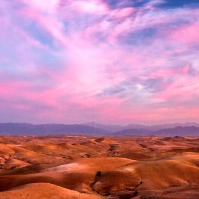 From Marrakech: Agafay Desert Sunset Dinner with Live Show - Final Thoughts