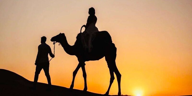 From Marrakech: Agafay Sunset Camel Tour with Dinner & Show - Who Would Love This Tour?