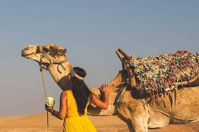 From MARRAKECH : Atlas Day Trip & Camel ,Agafay - The Starting Point: A Convenient Marrakech Pickup
