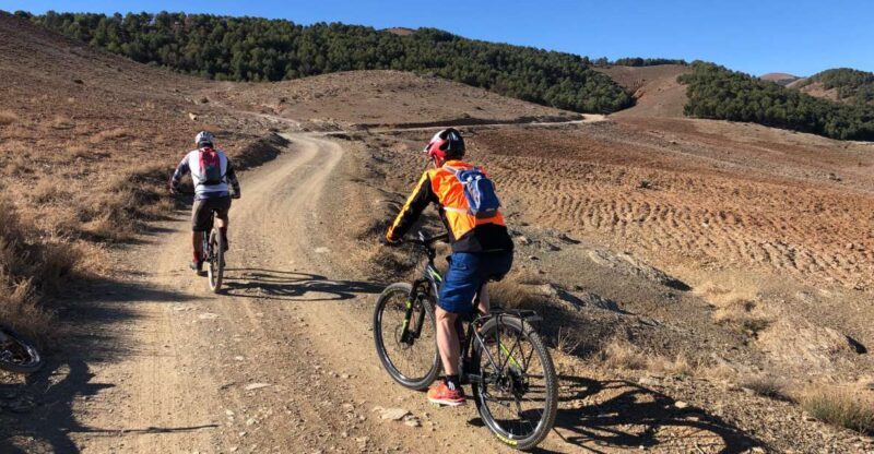 From Marrakech: Atlas Mountain and Berber Village Bike Trip - Key Points