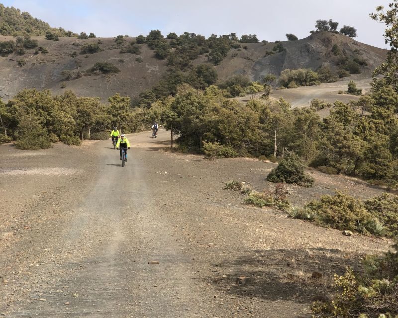 From Marrakech: Atlas Mountain and Berber Village Bike Trip - Who Will Enjoy This Tour?