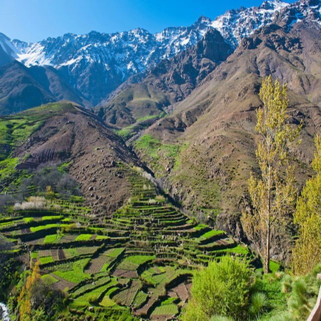 From Marrakech: Atlas Mountains and Berber Village Day Trip - The Return and Reflection