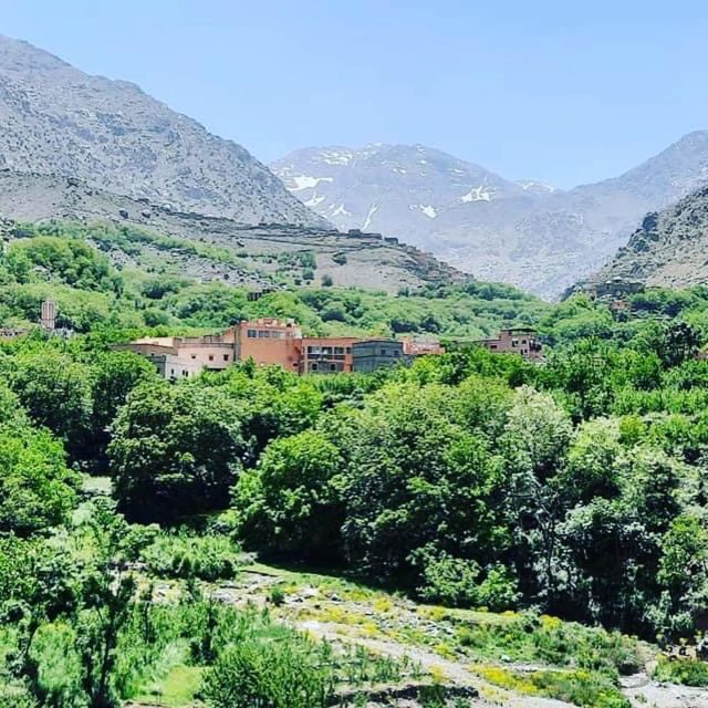 From Marrakech: Atlas Mountains and Berber Village Day Trip - What’s Included and What to Keep in Mind