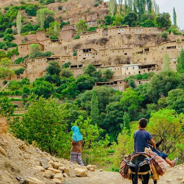 From Marrakech: Atlas Mountains and Berber Village Day Trip - Final Thoughts