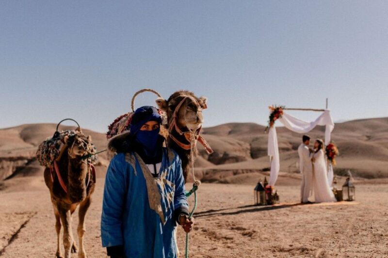 From Marrakech: Atlas Mountains Full-Day Hiking Trip w Lunch - The Sum Up: Who Is This Tour Best For?