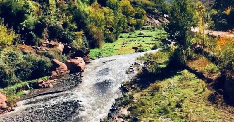 From Marrakech: Atlas Mountains & Toubkal Museum Day Tour - The Experience from the Travelers Perspective