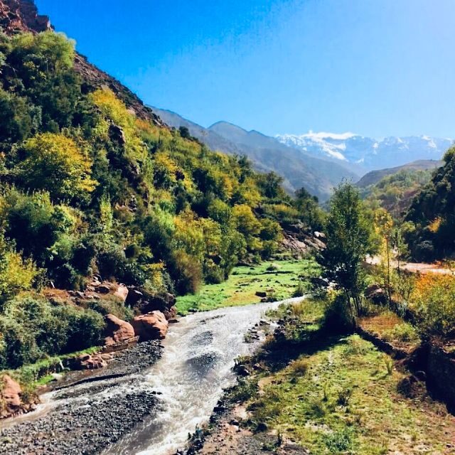 From Marrakech: Atlas Mountains & Toubkal Museum Day Tour - The Sum Up