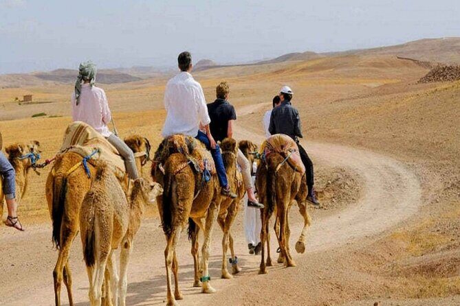 From Marrakech Atlas Mountains Waterfall Full Day Trip with Lunch - Who Would Love This Tour?
