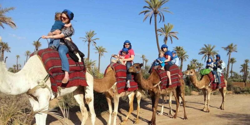 From Marrakech: Camel Ride in the Palm Grove - Authenticity and Value