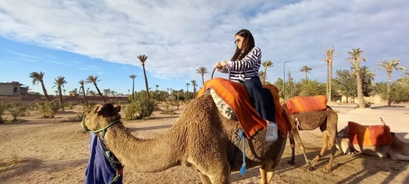 From Marrakech: Camel Ride in the Palm Grove - Final Thoughts: Who Will Love This Tour?