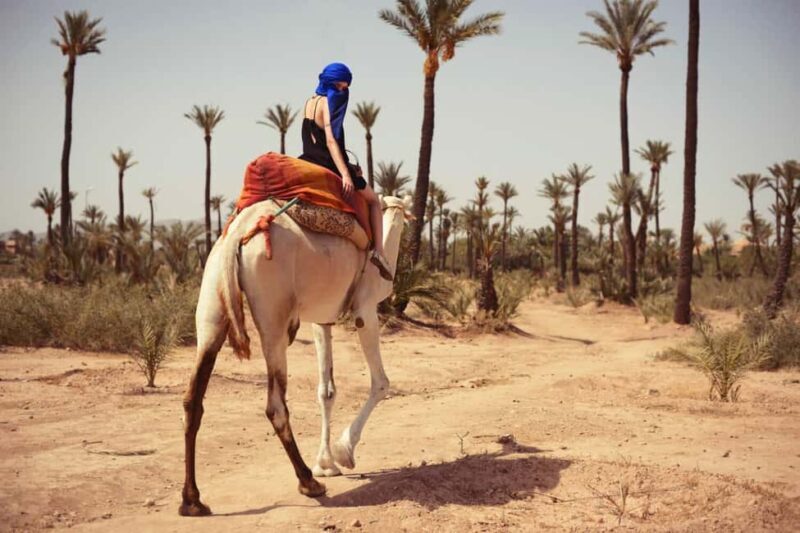 From Marrakech: Camel Ride in the Palm Grove - Frequently Asked Questions