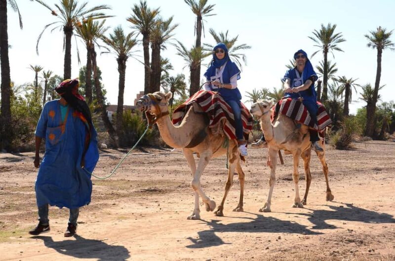 From Marrakech: Camel Ride in the Palm Grove - In The Sum Up